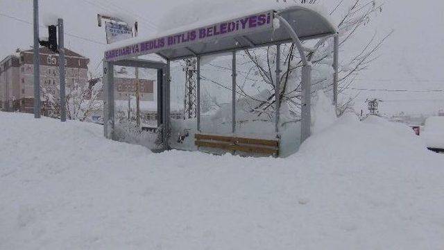 Bitlis’te 257 Köy Yolu Ulaşıma Kapandı