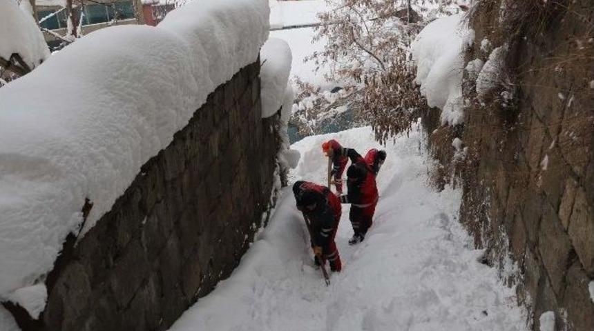 Bitlis Belediyesinden Karla M&uuml;cadele &Ccedil;alışması
