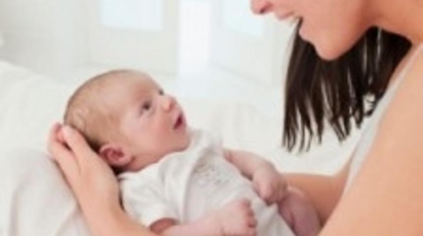 İnek S&uuml;t&uuml; Danalar İ&ccedil;indir