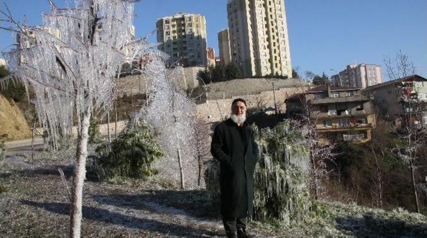 Kocaeli&rsquo;de Buz Tutan Yeşil Alandan Karposttallık G&ouml;r&uuml;nt&uuml;ler