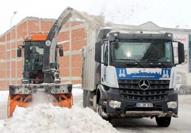 Doğu'da Kar Çilesi (2)