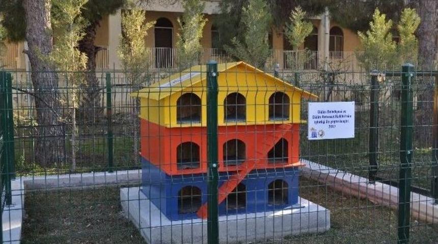 Didim Belediyesi Kedileri &ldquo;ev&rdquo;lendirdi