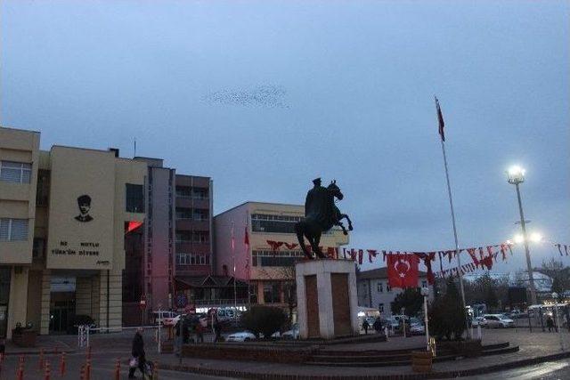 Kuşların Gökyüzündeki Dansı İzleyenleri Mest Ediyor