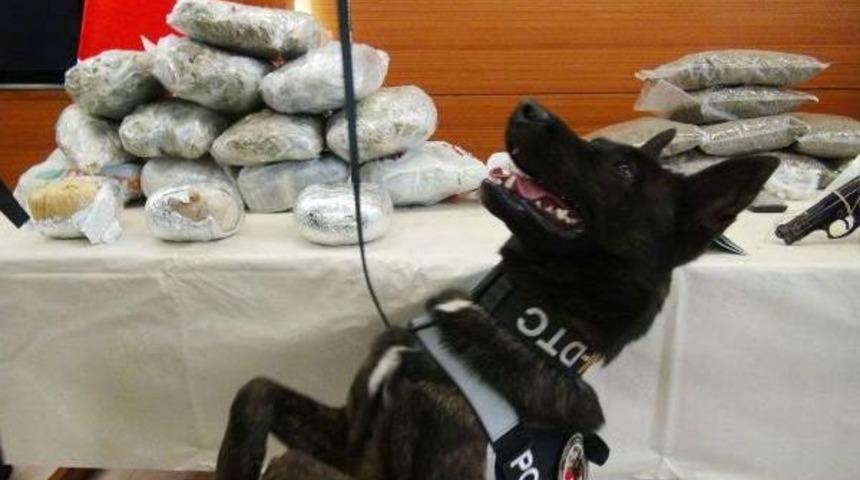 Gaziosmanpaşa'da Uyuşturucu Operasyonu: 90 G&ouml;zaltı