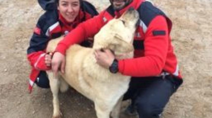 &ldquo;şanslı&rdquo;nın İmdadına Umke Yetişti