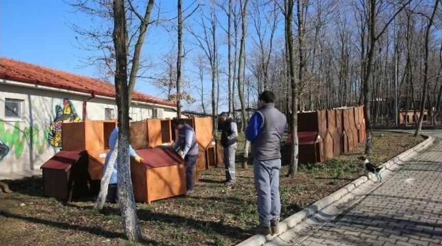 Başkan&rsquo;dan &ldquo;bir Pati De Sen Tut&rdquo; Projesine Plaket