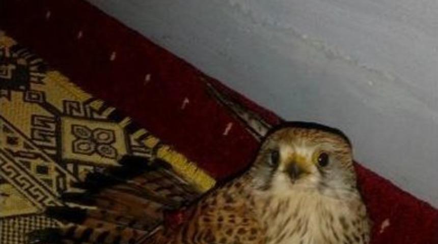 Duyarlı Vatandaştan &Ouml;rnek Davranış