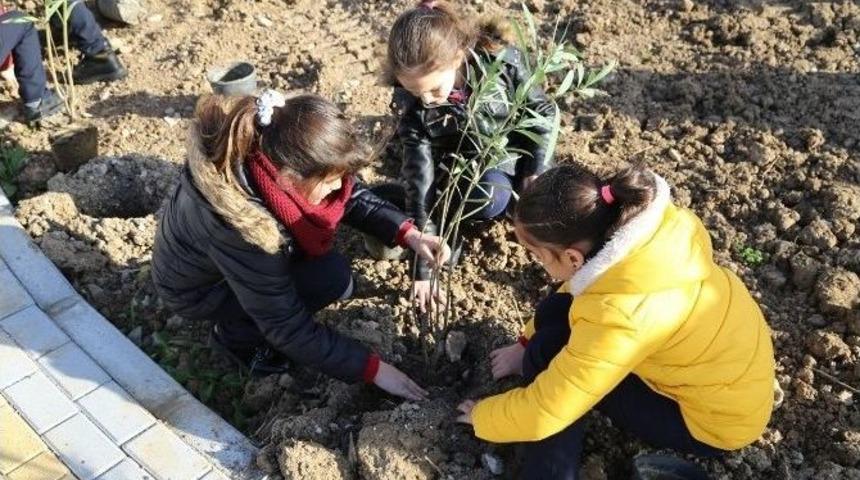 Ga&uuml; Okullar Grubu Girne Belediyesi İle Ağa&ccedil; Dikimine Katıldı