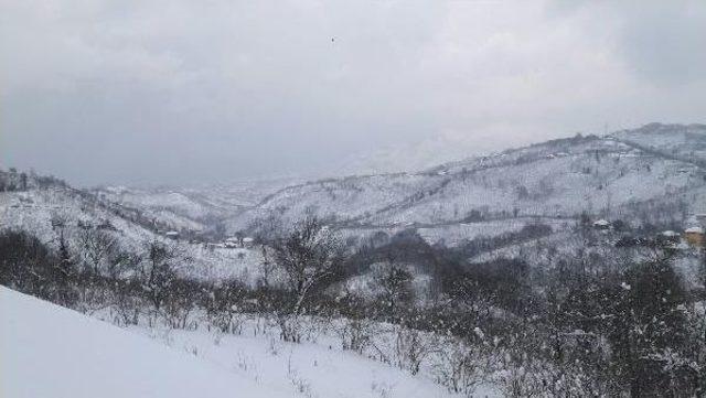 Ordu'da 400'den Fazla Mahalle Yolu Kardan Kapandı