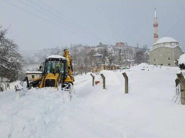 Ordu'da 400'den Fazla Mahalle Yolu Kardan Kapandı