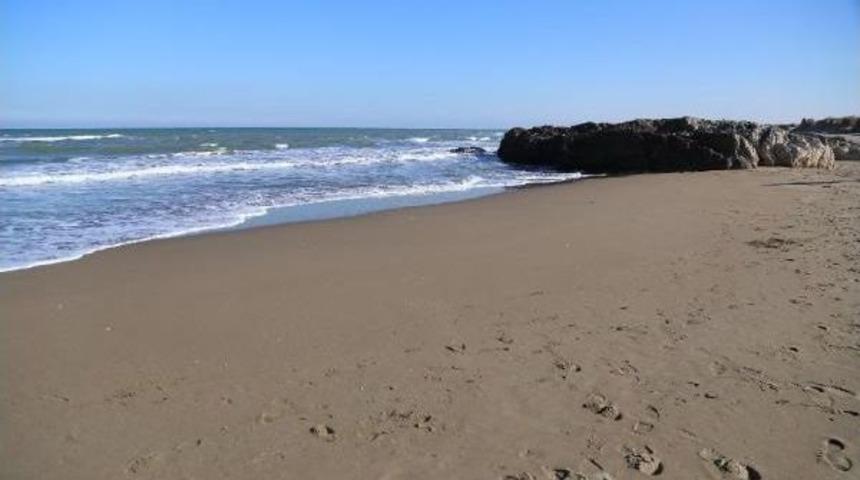 Kandıra'da Sahile Vuran Balık Kalmadı