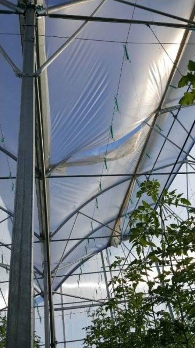 Fırtına Domates Serasını Vurdu 1