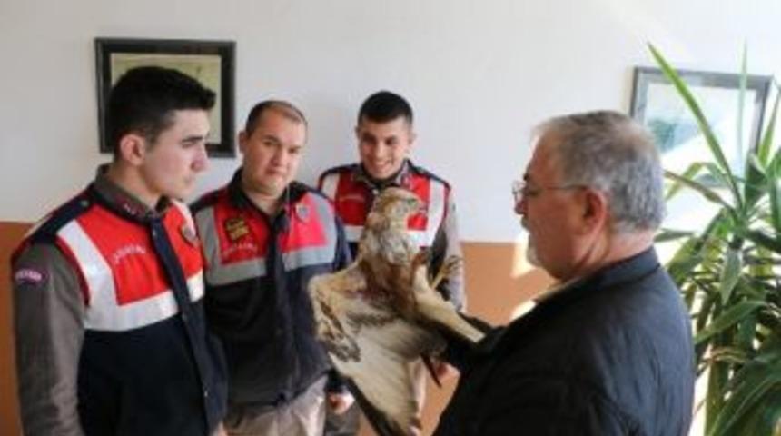 Yaralı Doğana Jandarma Sahip &Ccedil;ıktı