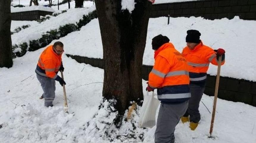 Trabzon&rsquo;da Hayvanlar İ&ccedil;in Yemleme İstasyonları Oluşturuldu