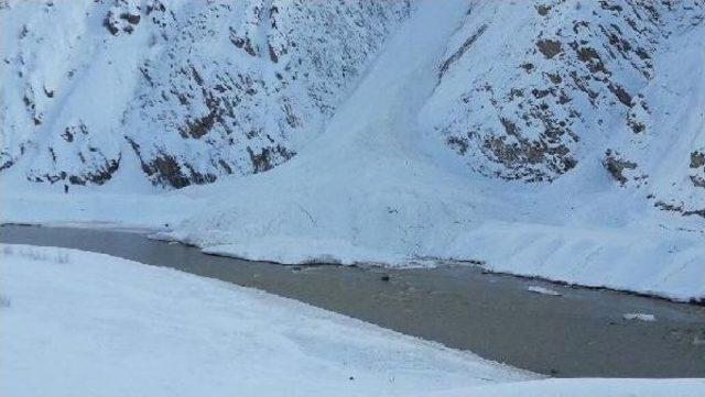 Hakkari de Çığ Düşen Yollarda Yoğun Çalışma Yürütülüyor 2