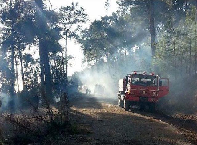 Muğla'da Orman Yangını