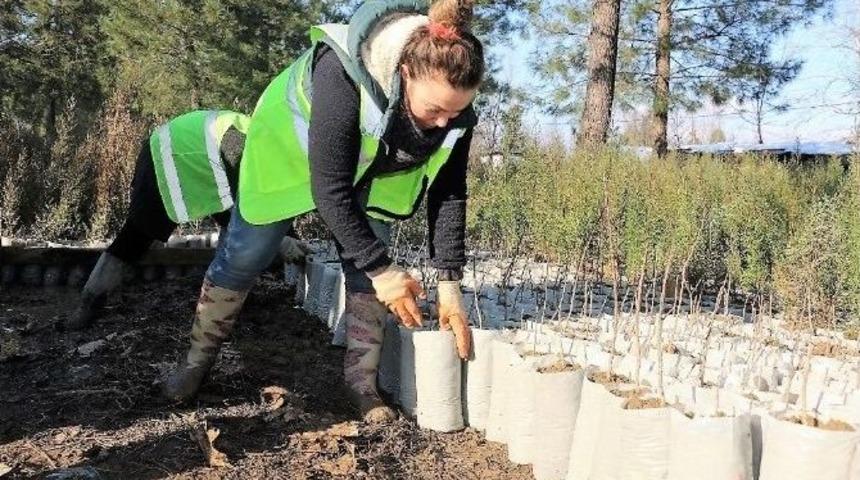 Zonguldak Obm Fidan &Uuml;retim Faaliyetleri Hız Kesmeden Devam Ediyor