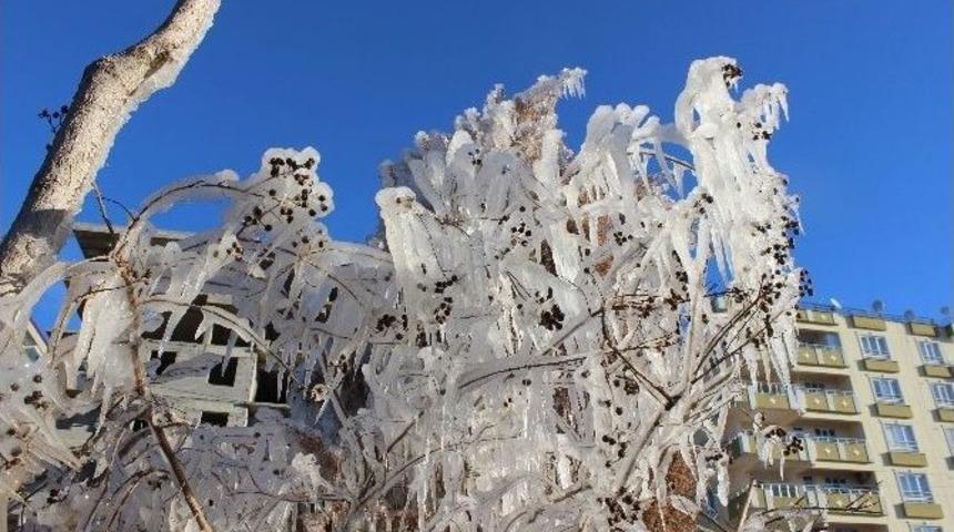 Kilis&rsquo;te Ağa&ccedil;lar Buz Tuttu