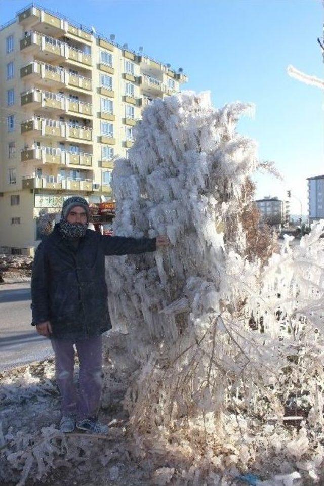 Kilis’te Ağaçlar Buz Tuttu