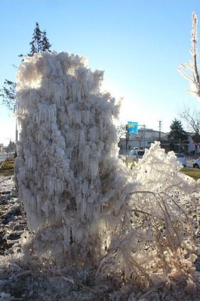 Kilis’te Ağaçlar Buz Tuttu