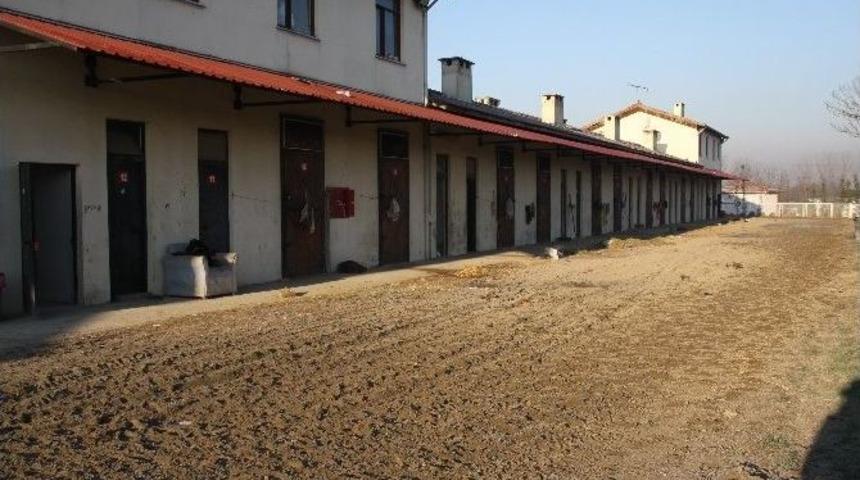 Kartepe Hipodromunda 250 Polisle Uyuşturucu Baskını