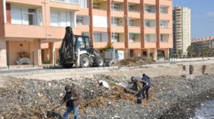 Erdemli Sahilleri Temizleniyor