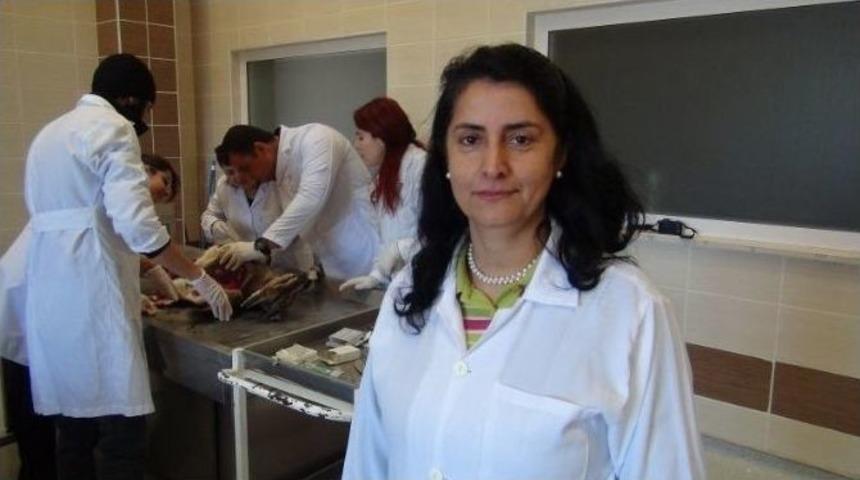 Antalya&rsquo;da Dağ Ke&ccedil;ileri &Ouml;l&uuml; Bulundu