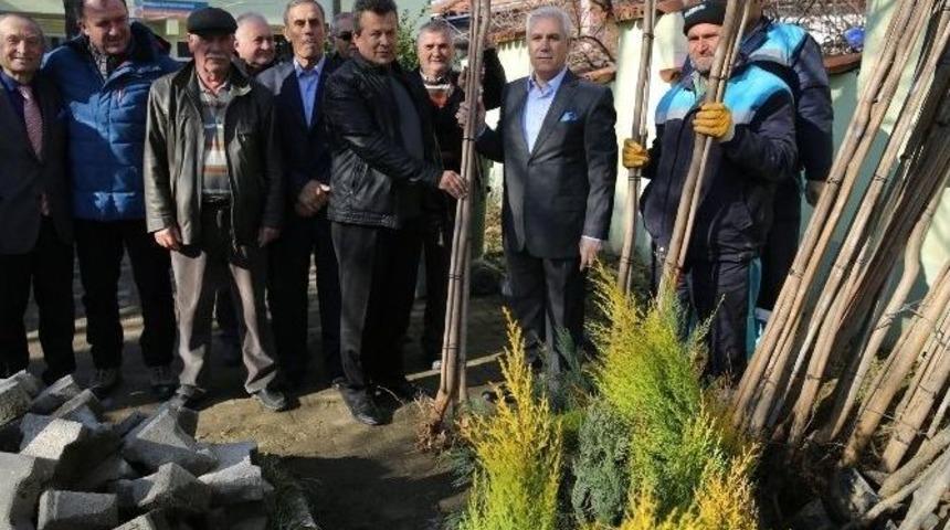 Yeşil Bir Gelecek İ&ccedil;in 13 Bin Fidan