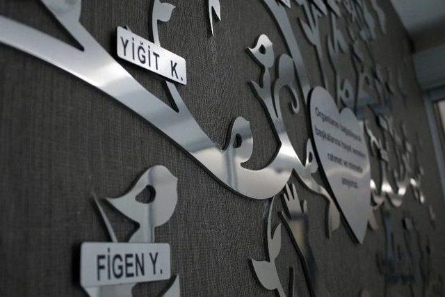 Organ Naklinin "yaşam Ağacı" 1