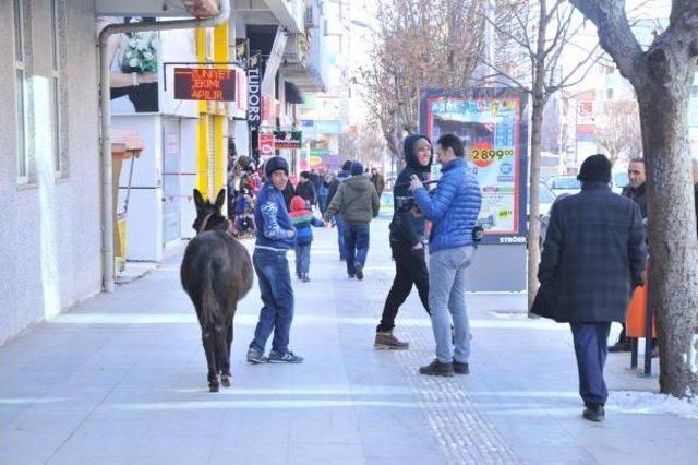 Çorum'un Caddesinde Eşeğiyle Gezdi