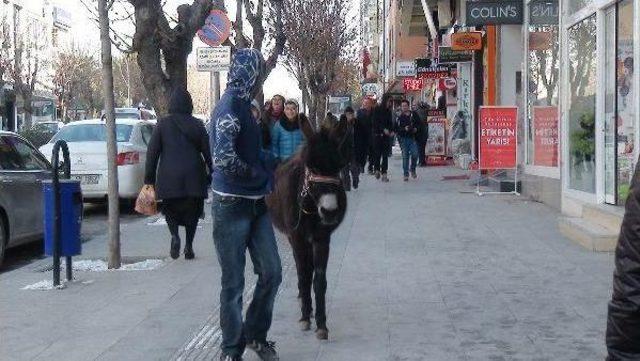 Çorum'un Caddesinde Eşeğiyle Gezdi