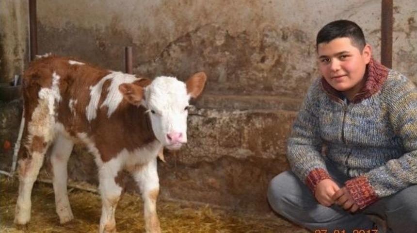 K&uuml;tahya&rsquo;da 146 Aileye S&uuml;t Sığırcılığı Kredi Katkısı