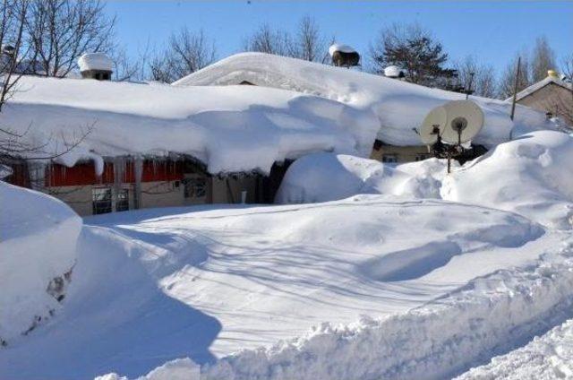 Bitlis te  beyaz Esaret  Nedeniyle Kriz Masası Oluşturuldu(2) 1