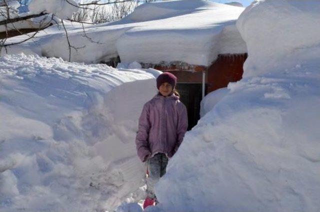 Bitlis te  beyaz Esaret  Nedeniyle Kriz Masası Oluşturuldu(2) 3