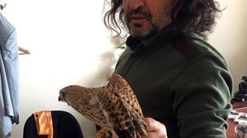 Yaralı Kerkenez Tedavi Altına Alındı