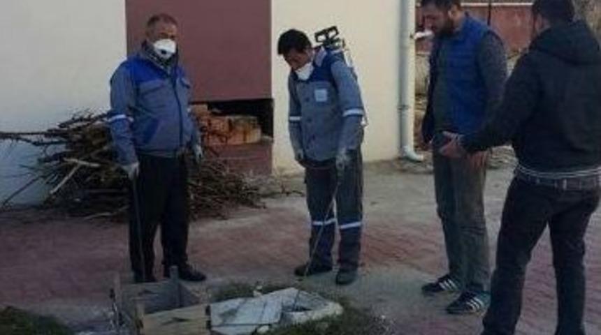 Korkuteli İl&ccedil;esi&rsquo;nde Sinekle M&uuml;cadele &Ccedil;alışması Başladı