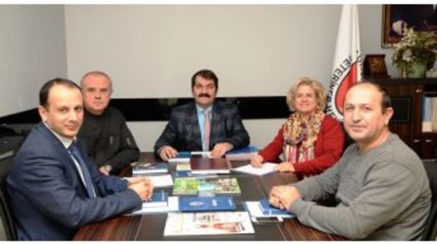 Haşere İla&ccedil;larında Kanser Riski