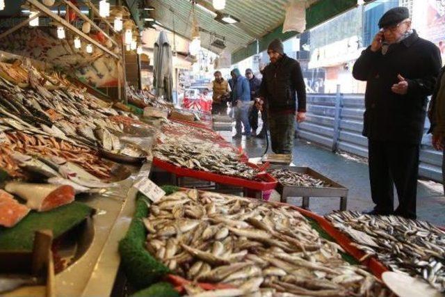 Balık Pahalı Olunca Rağbet Azaldı