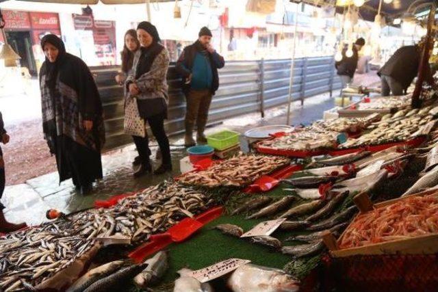 Balık Pahalı Olunca Rağbet Azaldı