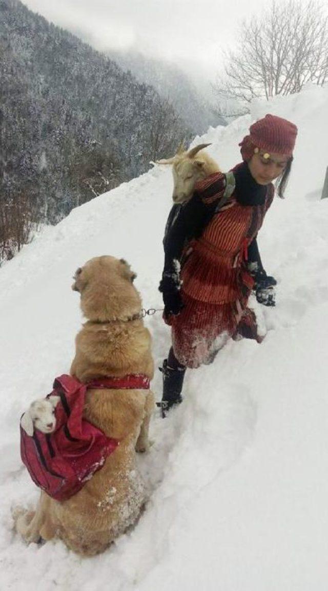 Sosyal Medyada En Çok Paylaşılan Fotoğrafın Sırrı Ortaya Çıktı