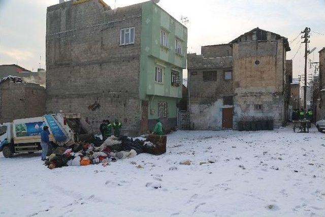 Evden 4 Kamyon &Ccedil;&ouml;p &Ccedil;ıktı 2