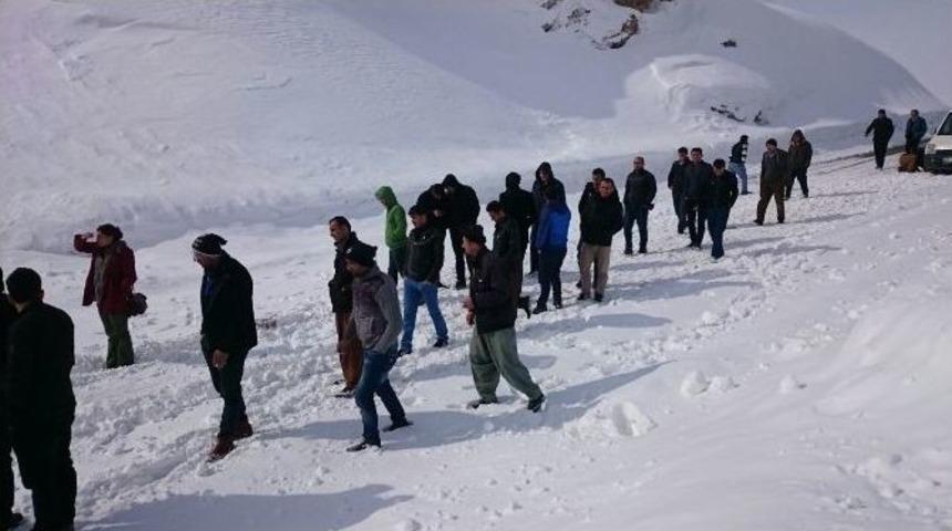 Şemdinli-y&uuml;ksekova Yoluna &Ccedil;ığ D&uuml;şt&uuml;