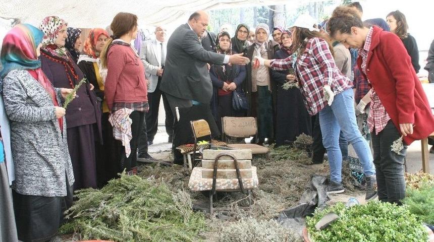 Tarım İl&ccedil;e M&uuml;d&uuml;rl&uuml;ğ&uuml;nden Devrekli &Ccedil;ift&ccedil;ilere Teknik Gezi