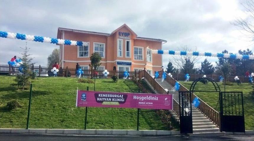 Kemerburgaz Sokak Hayvanları Kliniği Hizmete A&ccedil;ıldı