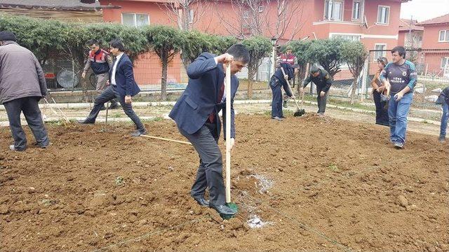 Pazaryeri’nde Yaşlılar Evinin Bahçesine Fidan Dikimi Yapıldı