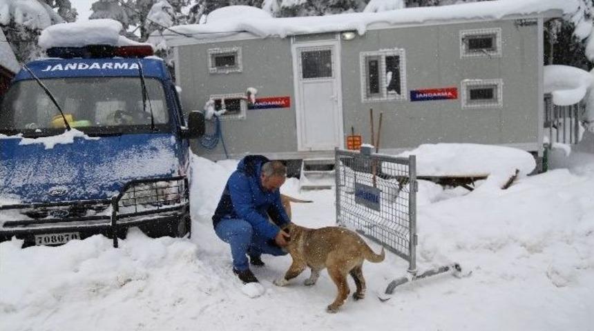Jandarma Cerattepe&rsquo;de 1 Yıldır Aralıksız N&ouml;bet Tutuyor