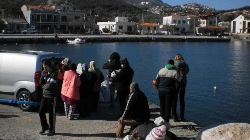 Karaburun'da Akdeniz Foku Heyacanı