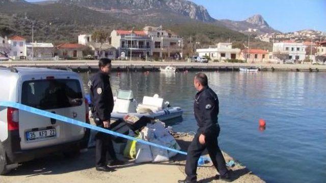 Karaburun'da Akdeniz Foku Heyacanı