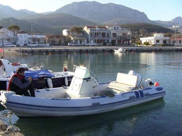 Karaburun'da Akdeniz Foku Heyacanı