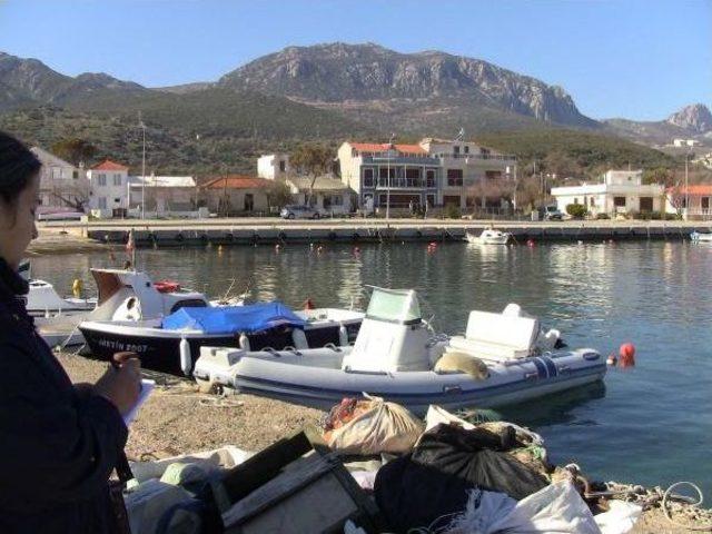 Karaburun'da Akdeniz Foku Heyacanı